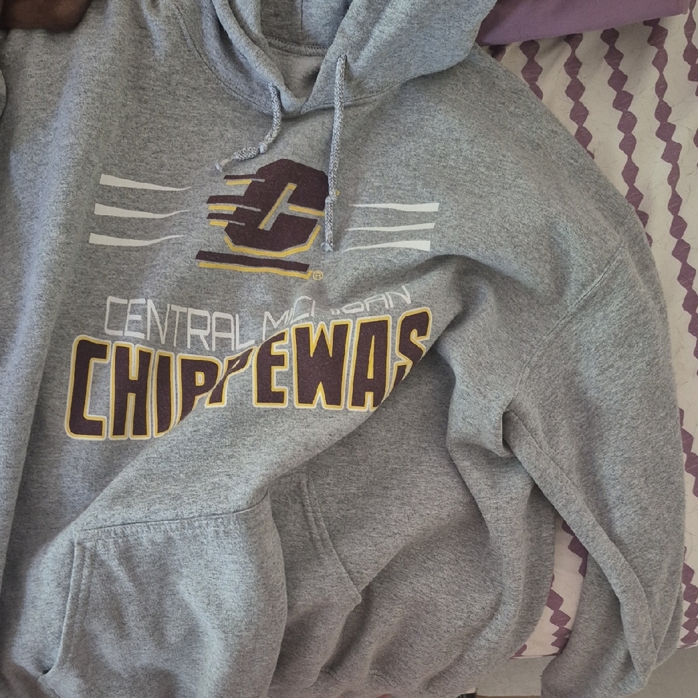 Source Unknown Gray Chippewas Hoodie